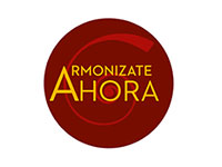 Sponsor 4